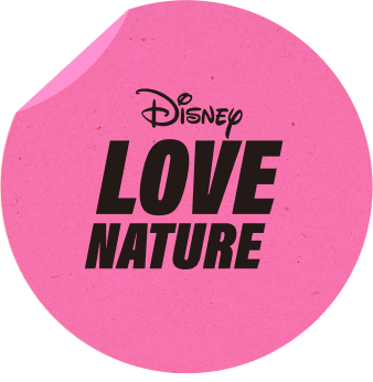 DISNEY LOVE NATURE