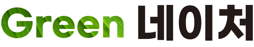 Green 네이처